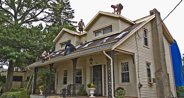 Best Metal Roofing Contractor  in Rochester, IL
