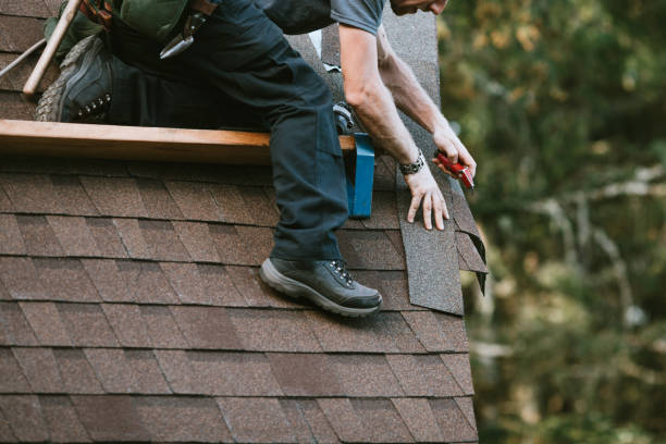Best Roof Maintenance Services  in Rochester, IL