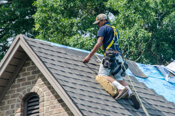 Best Emergency Roof Repair  in Rochester, IL